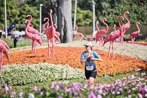 BIB: 
                            <button type="button" onclick="openModal(27793684)" class="btn btn-primary btn-sm float-right btn-popup" data-toggle="modal" data-target=".modal-high-quality">
                        <i class="fas fa-shopping-cart"></i> Add to Cart
                    </button>
                                            <button type="button" onclick="isThisMe(27793684, true)" class="btn btn-success btn-sm float-right btn-popup btn-isme hidden" data-toggle="tooltip" data-placement="bottom" title="นี่คือรูปของคุณใช่ไหม คลิกที่นี่เพื่อเอาเข้าอัลบั้ม">
                        <i class="fas fa-plus"></i> Add to album
                    </button>
                    <button type="button" onclick="isThisMe(27793684, false)" class="btn btn-warning btn-sm float-right btn-popup btn-isnotme hidden">
                        <i class="fas fa-ban"></i> Remove from album
                    </button>